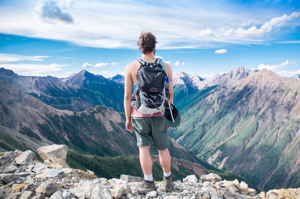 traveler backpack