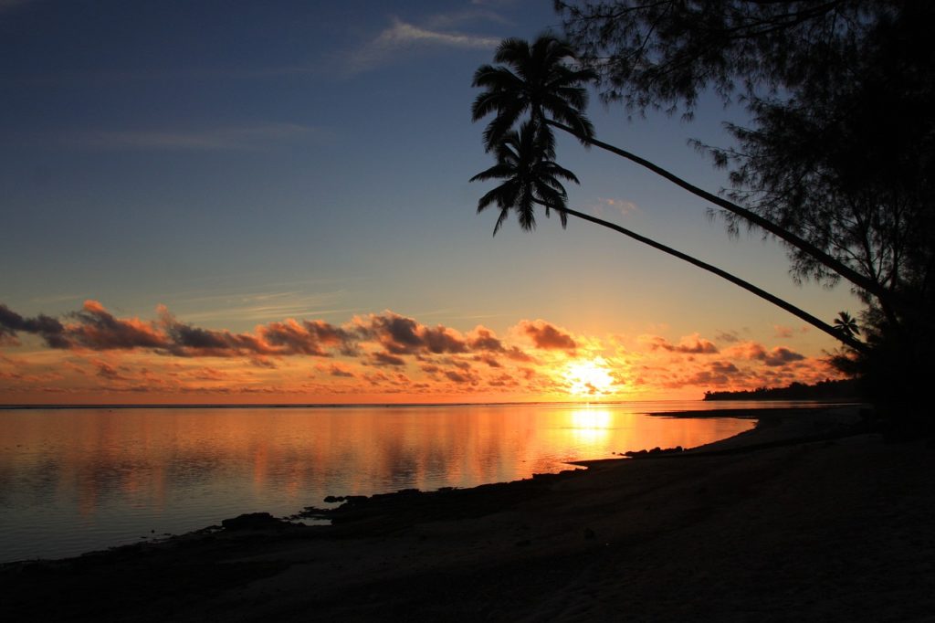 rarotonga sunset coconut palms