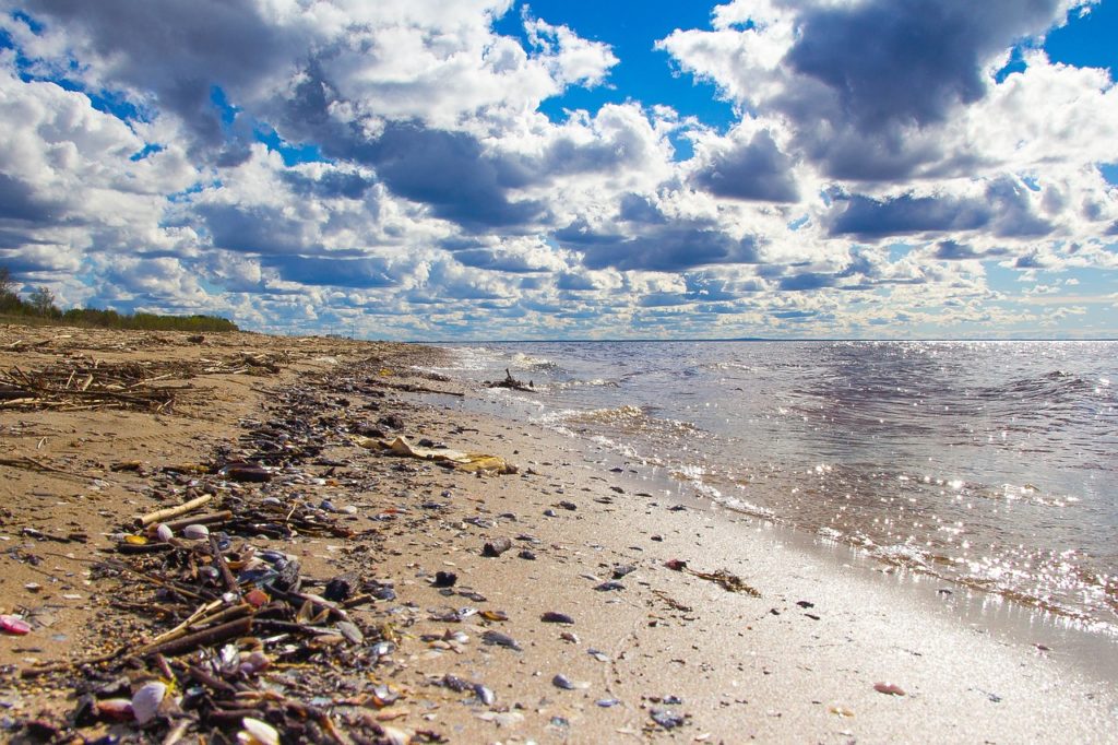 beach waste