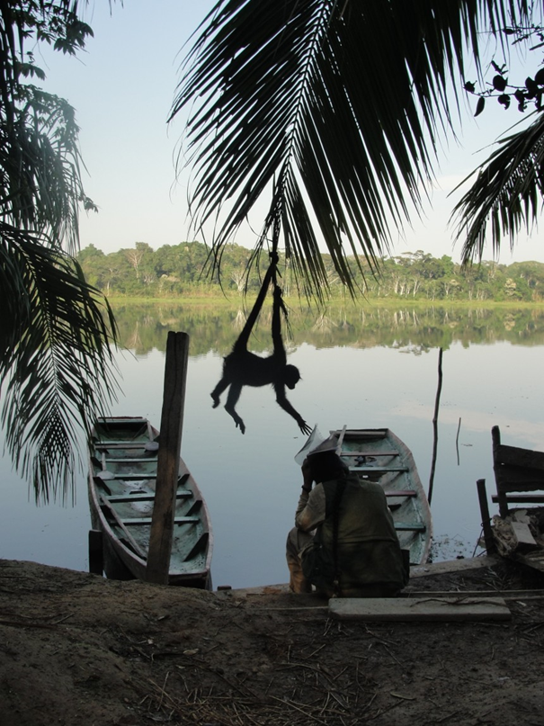 The Bolivian Amazon